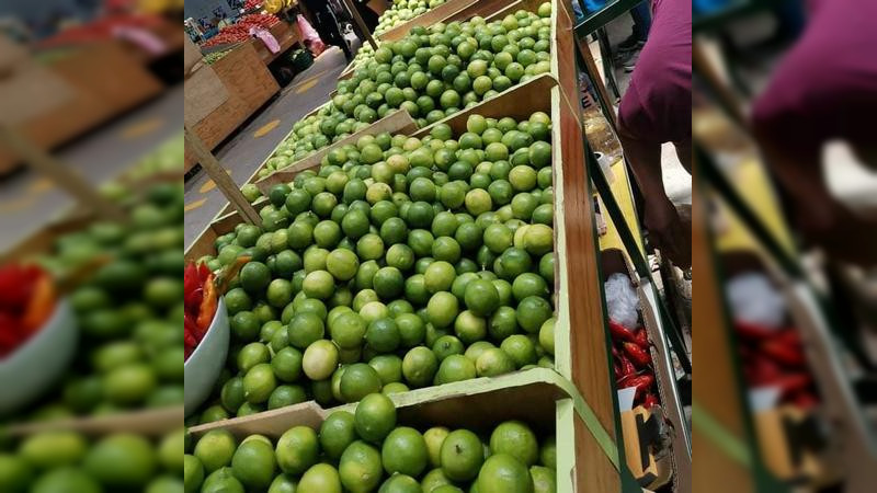Precio del limón hasta en 80 pesos en Morelia: comerciantes 