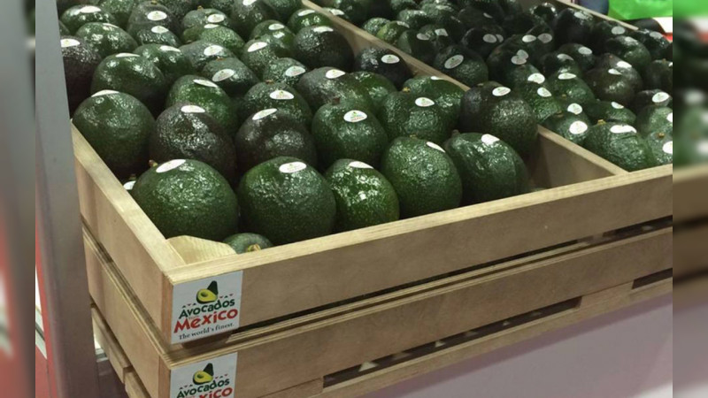 Se prolongará más allá del miércoles suspensión de exportación de aguacate en Michoacán 