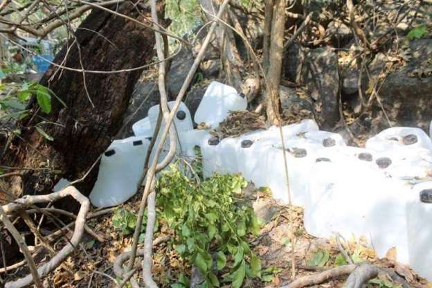 Localizan y destruyen narcolaboratorio en Aguililla, Michoacán - Foto 5 