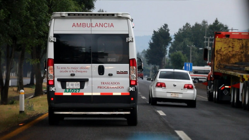 Familia es agredida por murciélagos en Lázaro Cárdenas  
