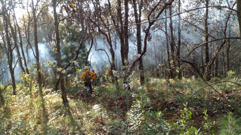 Controlado y sofocado incendio en el Cerro del Aire en Uruapan  
