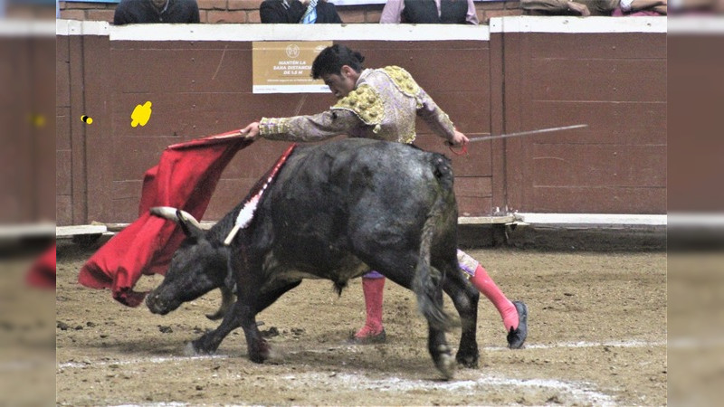 Buenas faenas de Tato Loaiza, Antonio Magaña e Isaías López en el Palacio del Arte