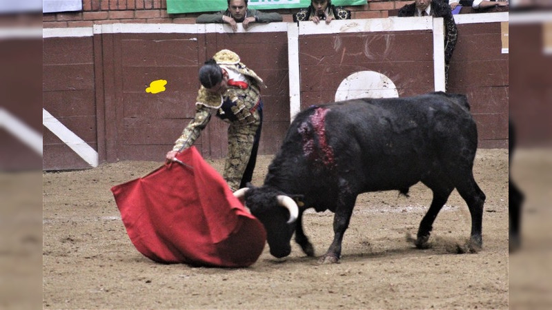 Buenas faenas de Tato Loaiza, Antonio Magaña e Isaías López en el Palacio del Arte