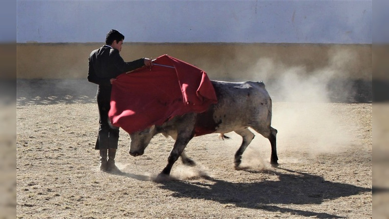 El Moso encabeza la buena papeleta del festival taurino de hoy en La Maestranza 