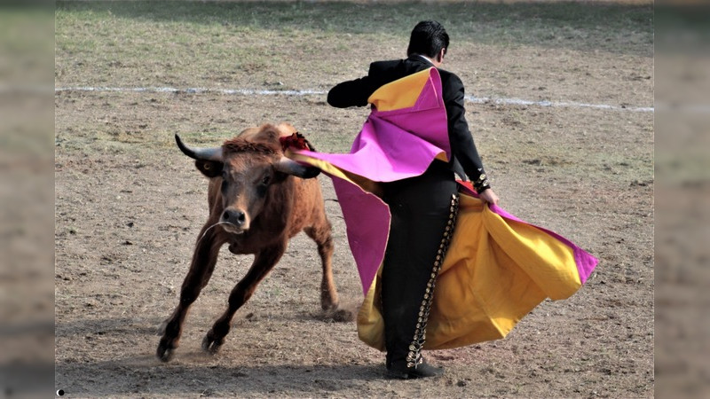 Pésimo ganado en el Cortijo La Maestranza, por fortuna no hubo tragedia en Morelia, Michoacán   