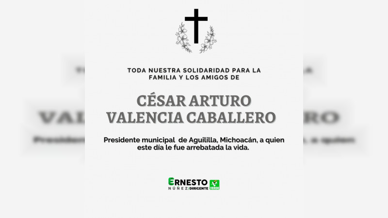 Lamenta Partido Verde asesinato del edil de Aguililla 