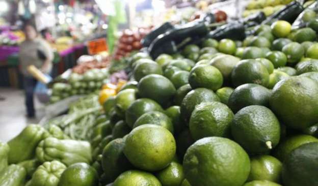 Precio del limón, de oferta y demanda: Sagarpa 