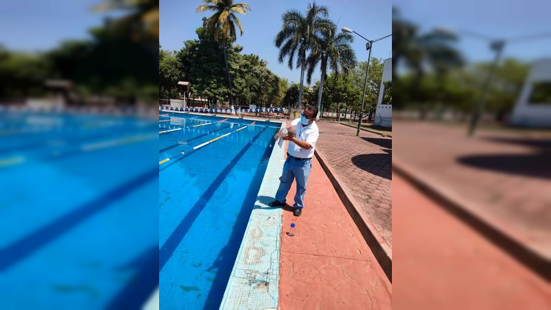 Alimentos elaborados a base de mariscos y el agua de las albercas no representan riesgo para la salud en Apatzingán  