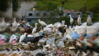 Proam invita al aprovechamiento de los residuos mediante economía circular