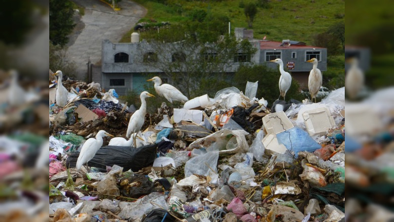 Proam invita al aprovechamiento de los residuos mediante economía circular 