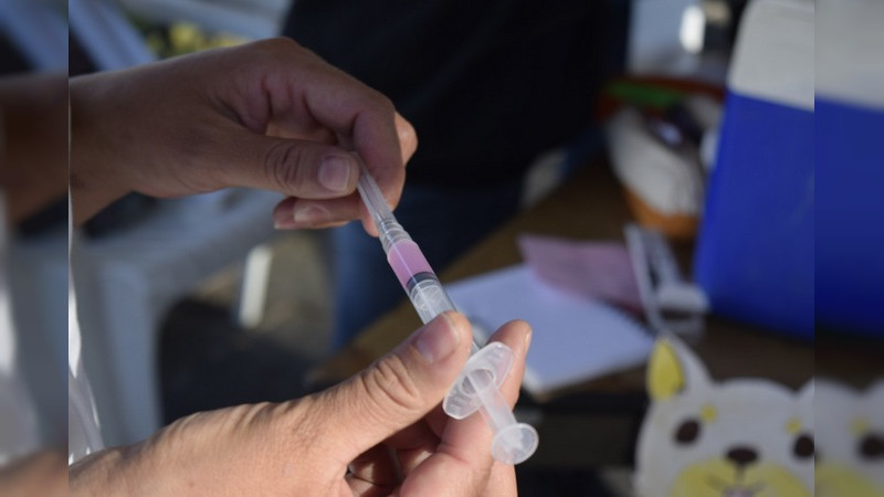 Más de 4 mil felinos y caninos han sido esterilizados en Michoacán: SSM