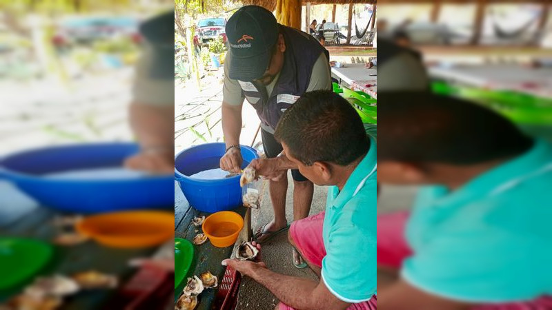 Playas Maruata y La Manzanillera continúan con veda por marea roja  