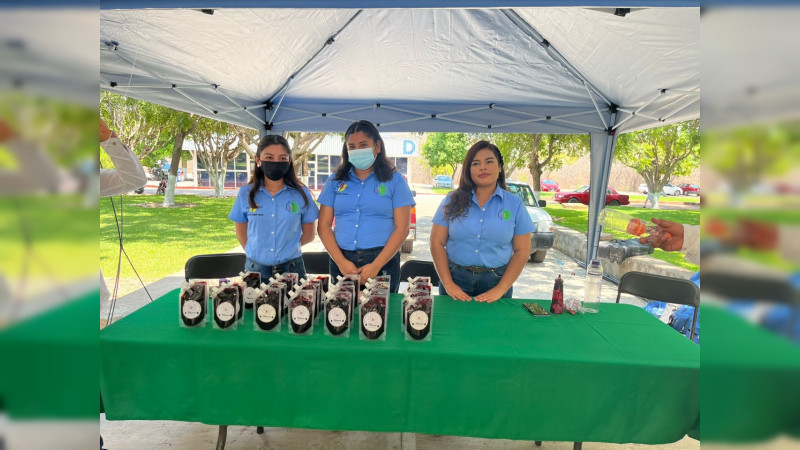 Realizará Sedeco campamentos para emprendedores en 11 municipios