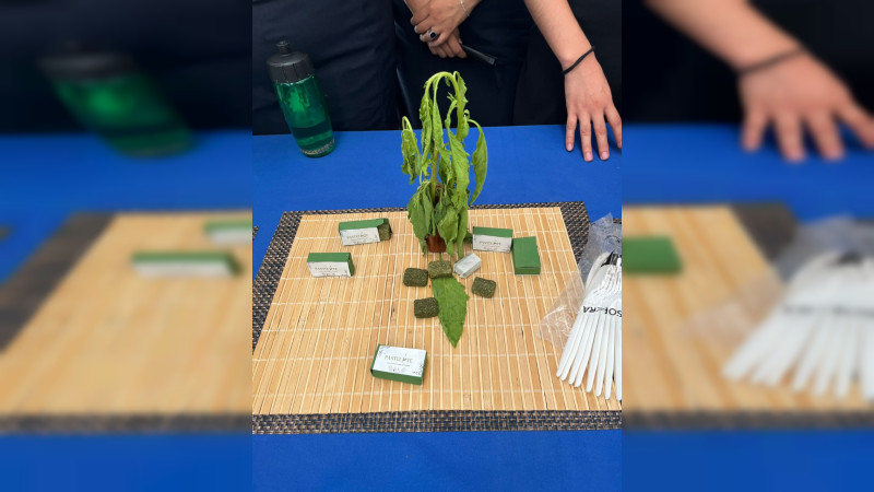 Realizará Sedeco campamentos para emprendedores en 11 municipios