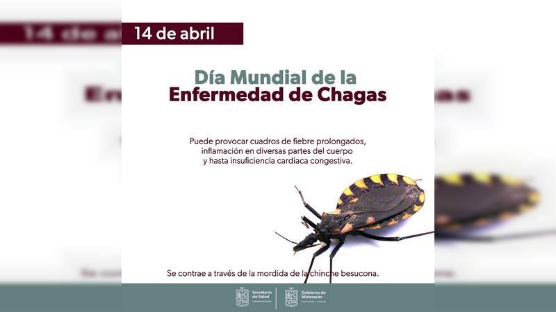 Enfermedad de Chagas es curable si se atiende a tiempo: SSM 