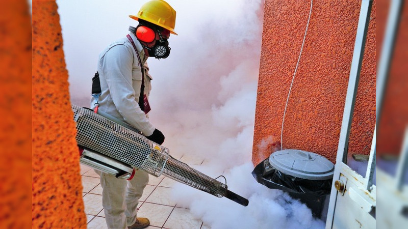 En Michoacán no hay registro de casos por zika y chikungunya 
