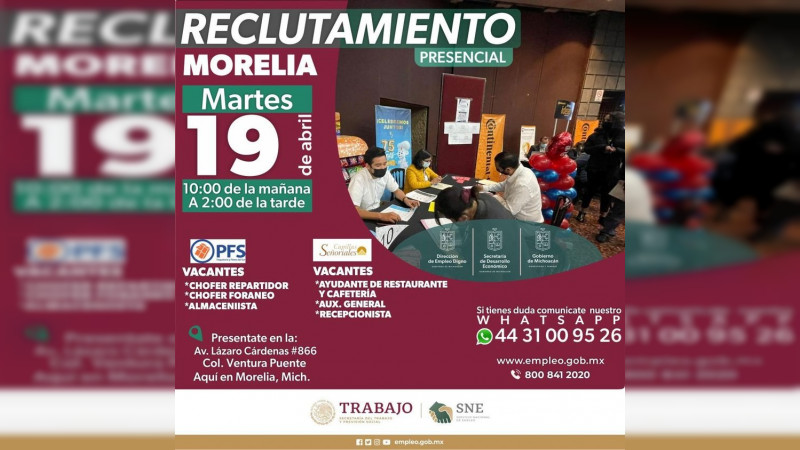 Sedeco y SNE realizarán eventos a favor del empleo en cinco municipios