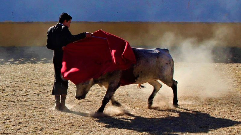 Breco, Moso, Ayala, Espartaco y Segovia, hoy en el Cortijo La Maestranza ante ganado de Farías