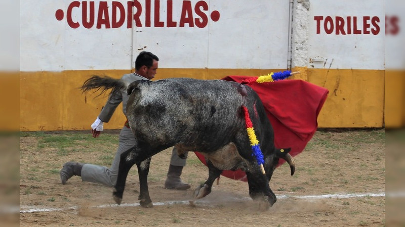 Muy bueno el festival de La Maestranza; muy bien en su trasteo el Moso, Espartaco y Segovia