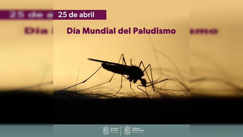 Michoacán libre de casos de Paludismo desde hace 18 años  