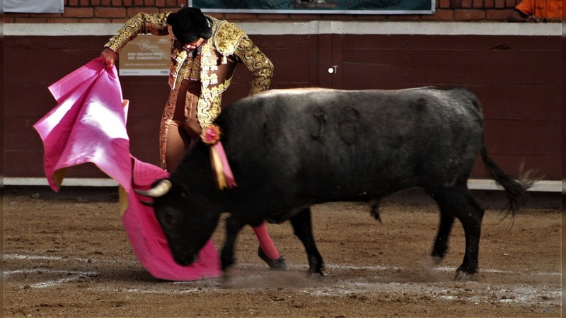 Corrida memorable, Toreros y Ganadero a Hombros