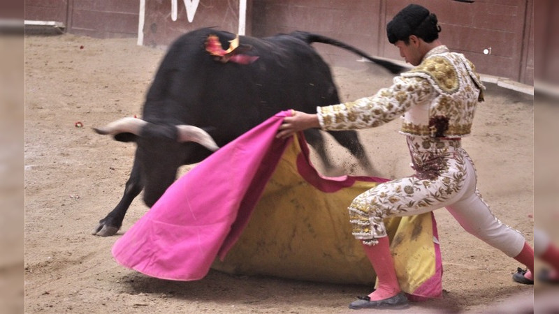 Corrida memorable, Toreros y Ganadero a Hombros