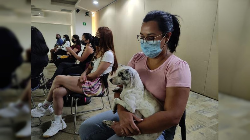 Activistas y Minerva Bautista Impulsan en Michoacán reglamento para castigar maltrato animal 