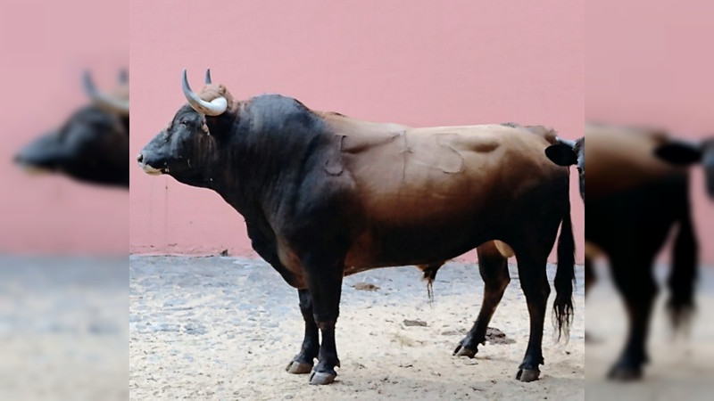 Ya están los toros de Hamdan en el Palacio del Arte 