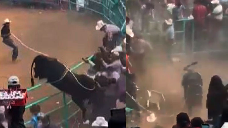 Toro salta valla de protección durante jaripeo en Zirahuén, Michoacán 