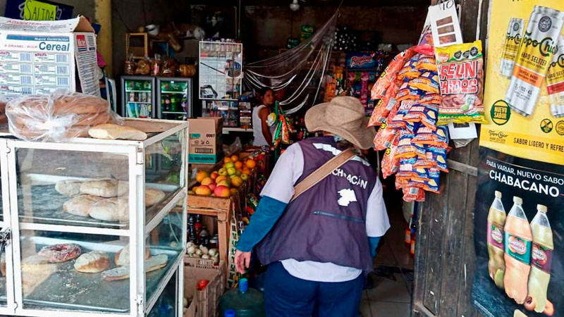 Con brigadas sanitarias trabaja Coepris en colonias de Zamora