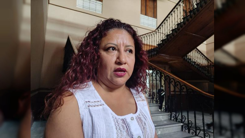 Compañeros pretenden exigir espacios públicos a gobernador: diputada Seyra Anahí 