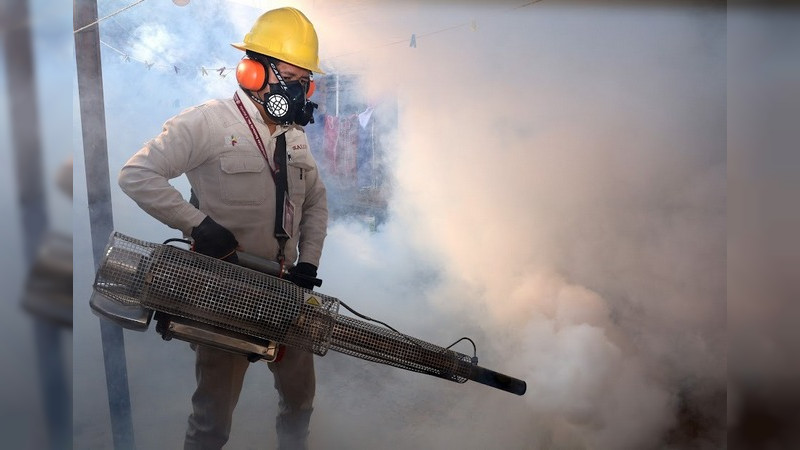 Sin tregua al combate del mosco Aedes Aegypti: SSM
