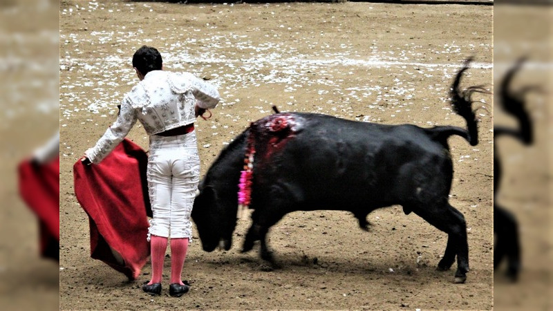 Baruch Arreola, Tato Loaiza, Antonio Sayago y Paco de la Peña en agarrón de triunfadores