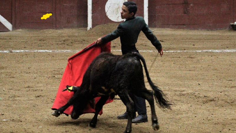 El becerrista hidrocálido  Isaías López no podrá presentarse este viernes en el Palacio del Arte