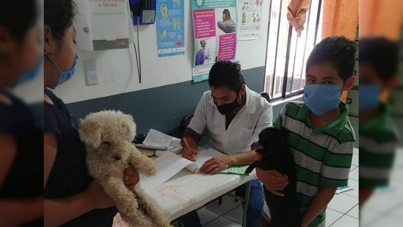 Registra Michoacán avance del 21 por ciento de vacunación antirrábica 