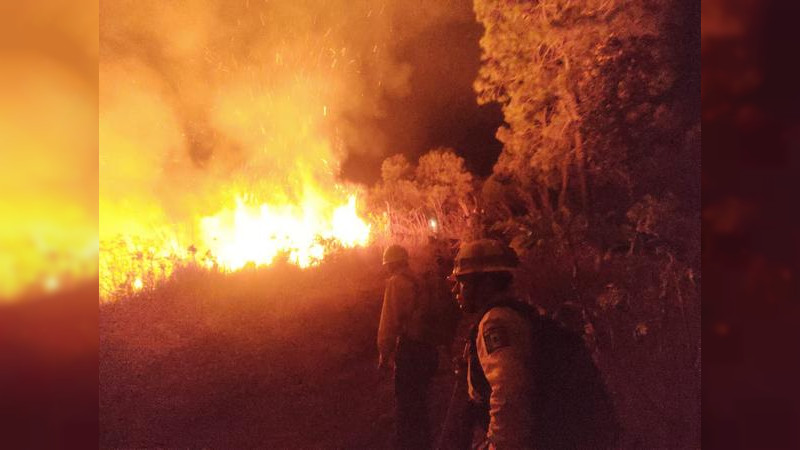 Se duplicaron incendios forestales en Uruapan, el 95% son provocados: Víctor Manríquez 