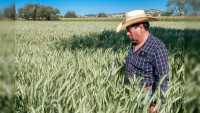 Creció en 8.3 por ciento producción agroalimentaria de México en 2021