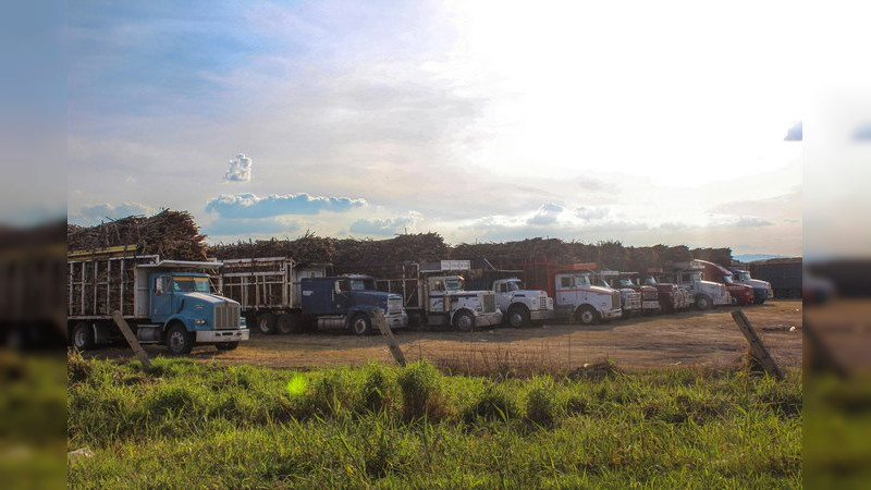 Creció en 8.3 por ciento producción agroalimentaria de México en 2021