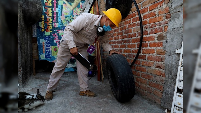 Michoacán registra 37 casos de dengue 