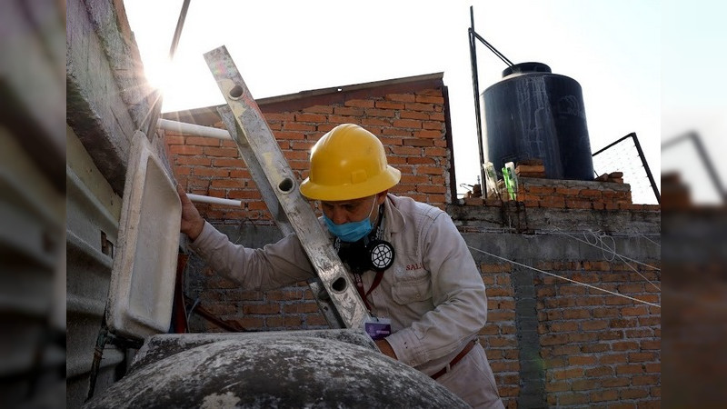 Michoacán registra 37 casos de dengue 