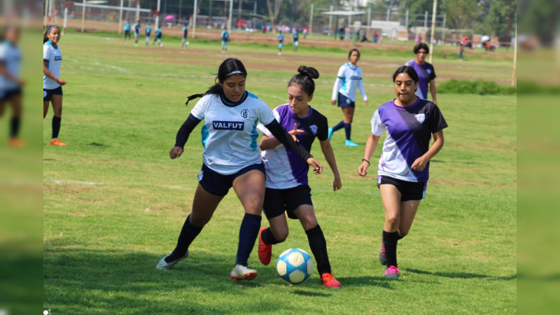 Suspendido por gresca el encuentro entre Cosmos y Universidad Michoacana de la rama femenil 
