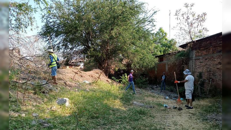 En los municipios de la Región Apatzingán, se combate el mosquito para prevenir brotes de dengue durante las próximas lluvias