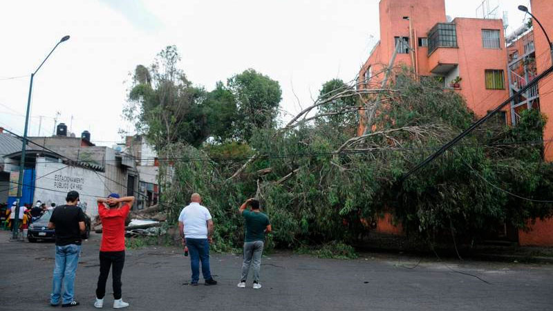 Fuertes vientos provocan tolvaneras y caída de árboles en CDMX 