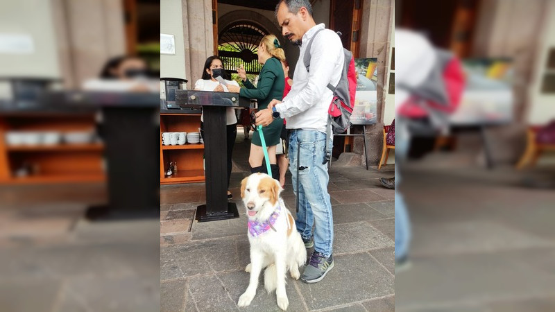 Minerva Bautista presenta queja por discriminación al perro "Manchas" en restaurante de Morelia 