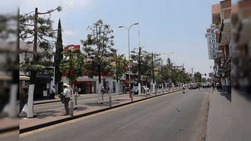 Podan árboles de Revolución para evitar riesgos a ciclistas y transeúntes en Zitácuaro