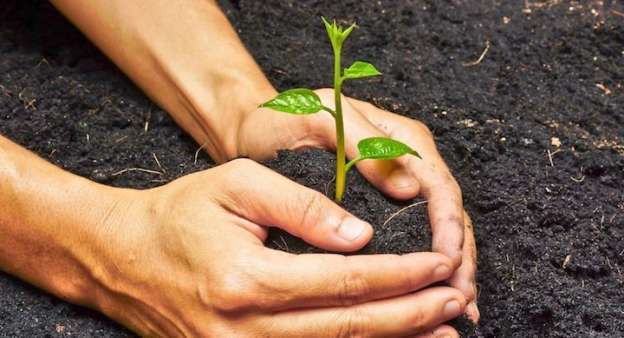 En Puerta la celebración por el Día Mundial del Medio Ambiente  
