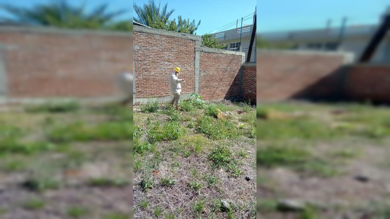 Se llevan acabo trabajos de nebulización en Huetamo y San lucas, Michoacán 