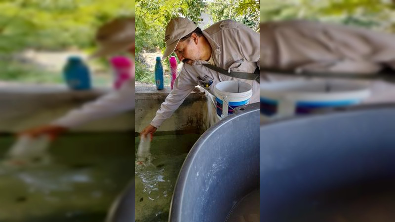 Se llevan acabo trabajos de nebulización en Huetamo y San lucas, Michoacán 