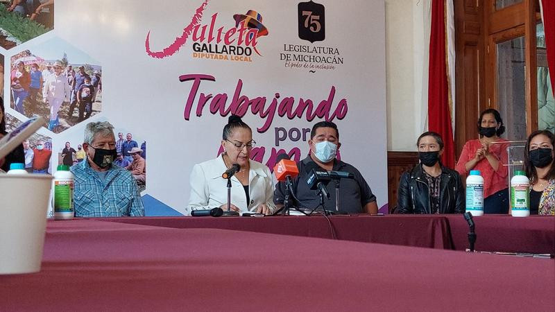Guerra en Ucrania incremento precios de insumos para campo michoacano: Julieta Gallado 