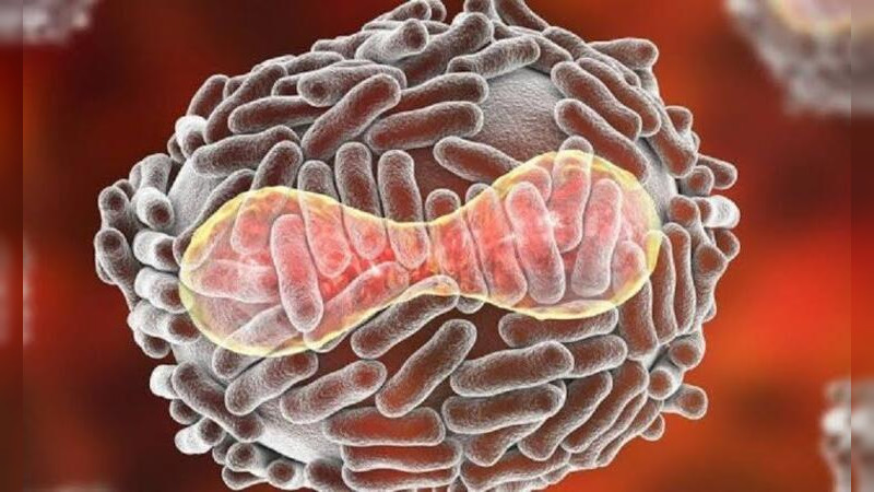 Viruela del Mono superó los 2 mil casos, en países no endémicos , informa la OMS 